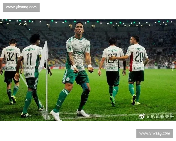 帕梅拉斯迎战格雷米奥南美豪强对决焦点之夜前瞻联赛走势与胜负悬念解析