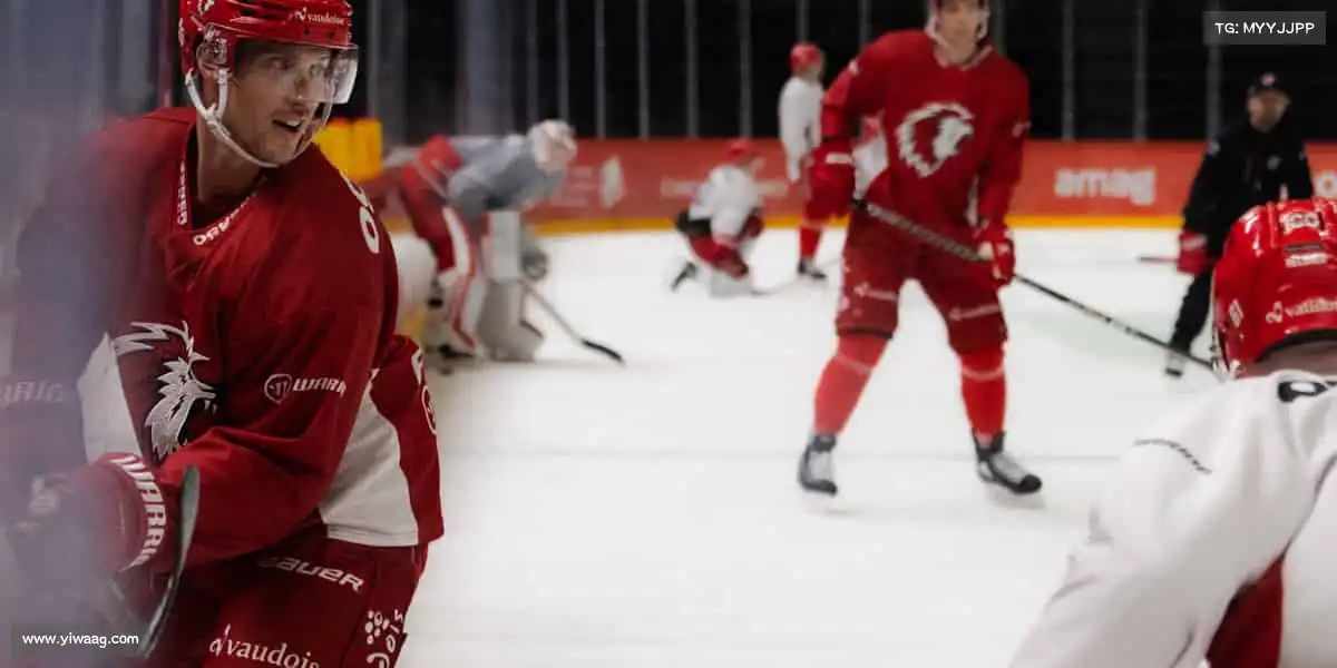 我们的核心竞争力